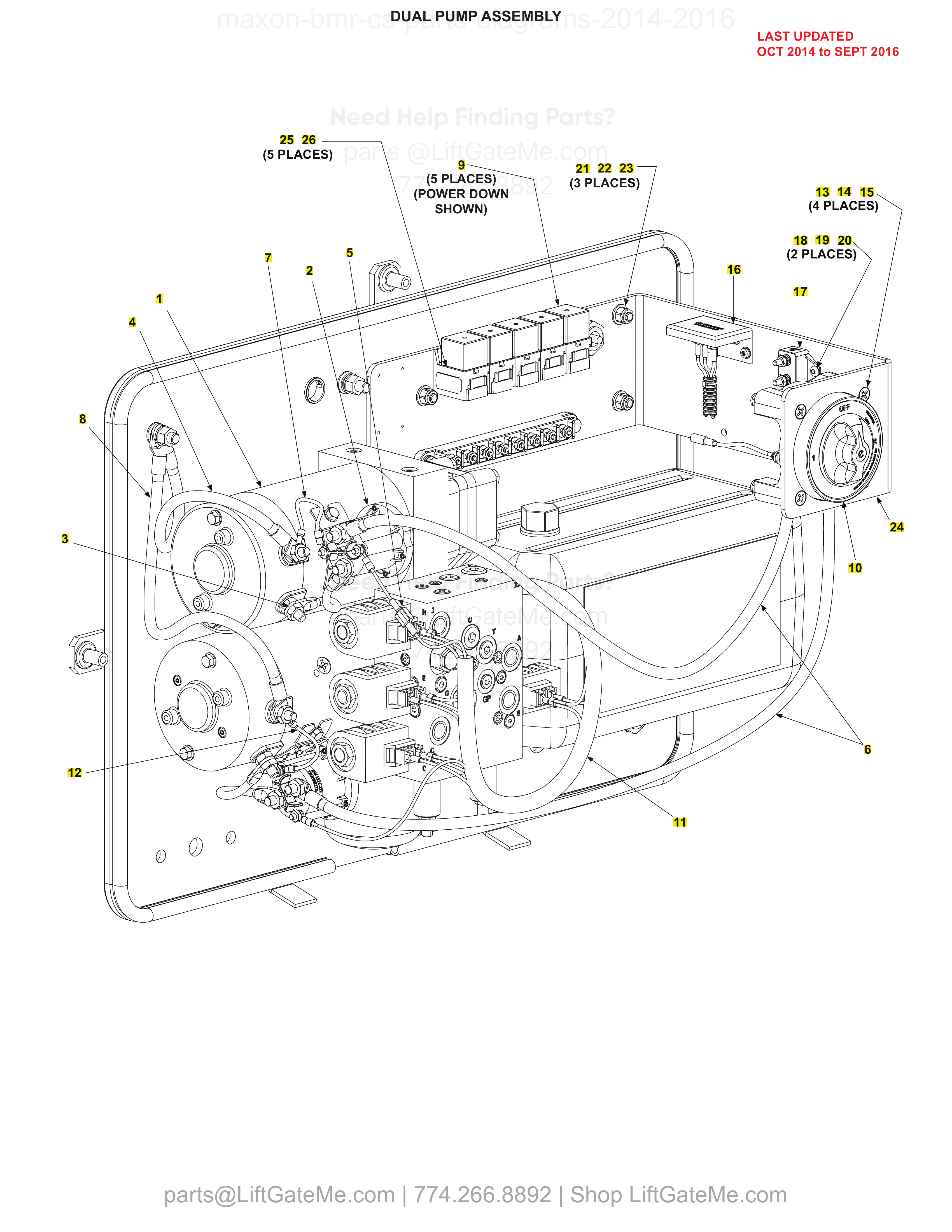 DUAL PUMP ASSEMBLY diagram