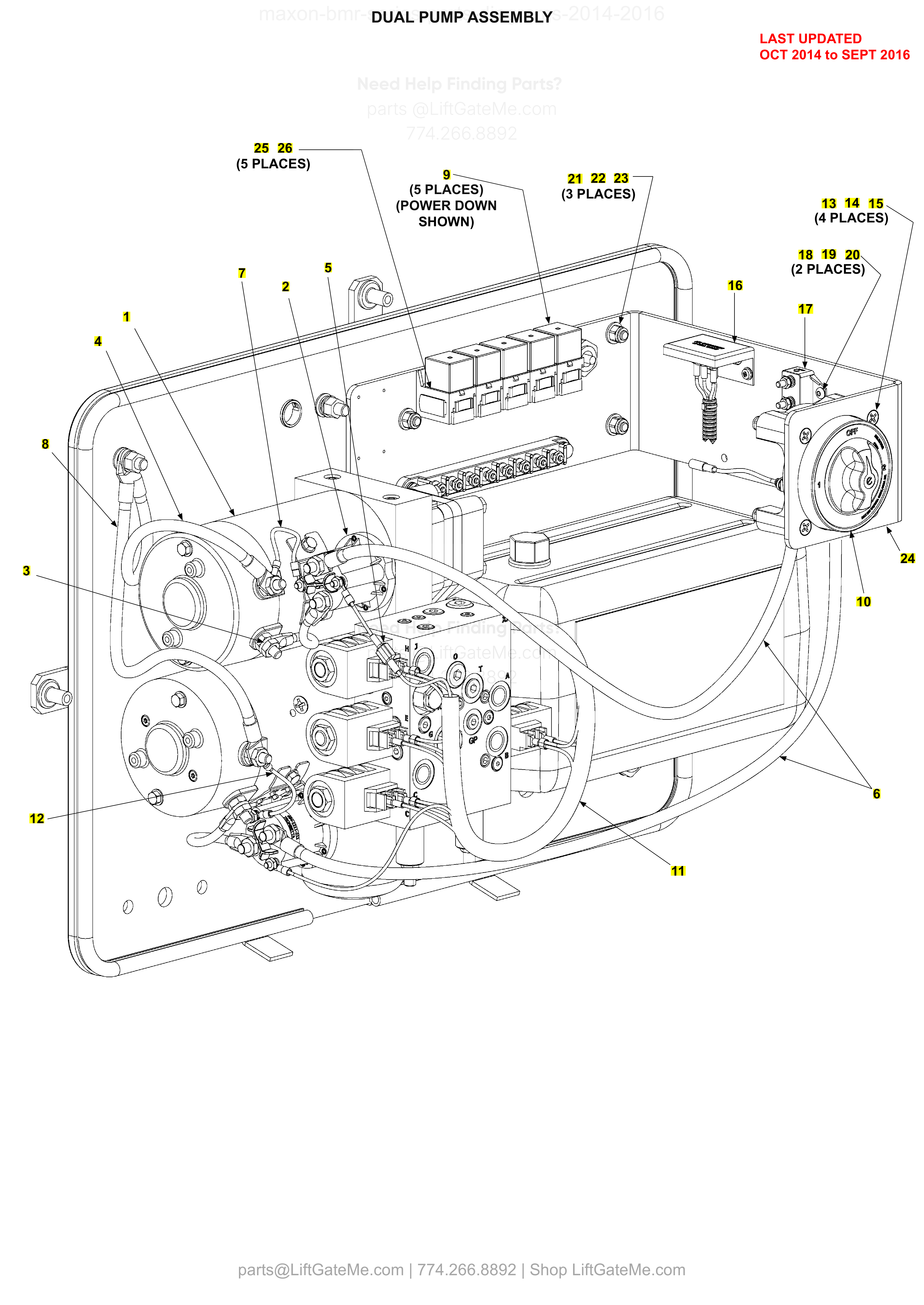 DUAL PUMP ASSEMBLY diagram