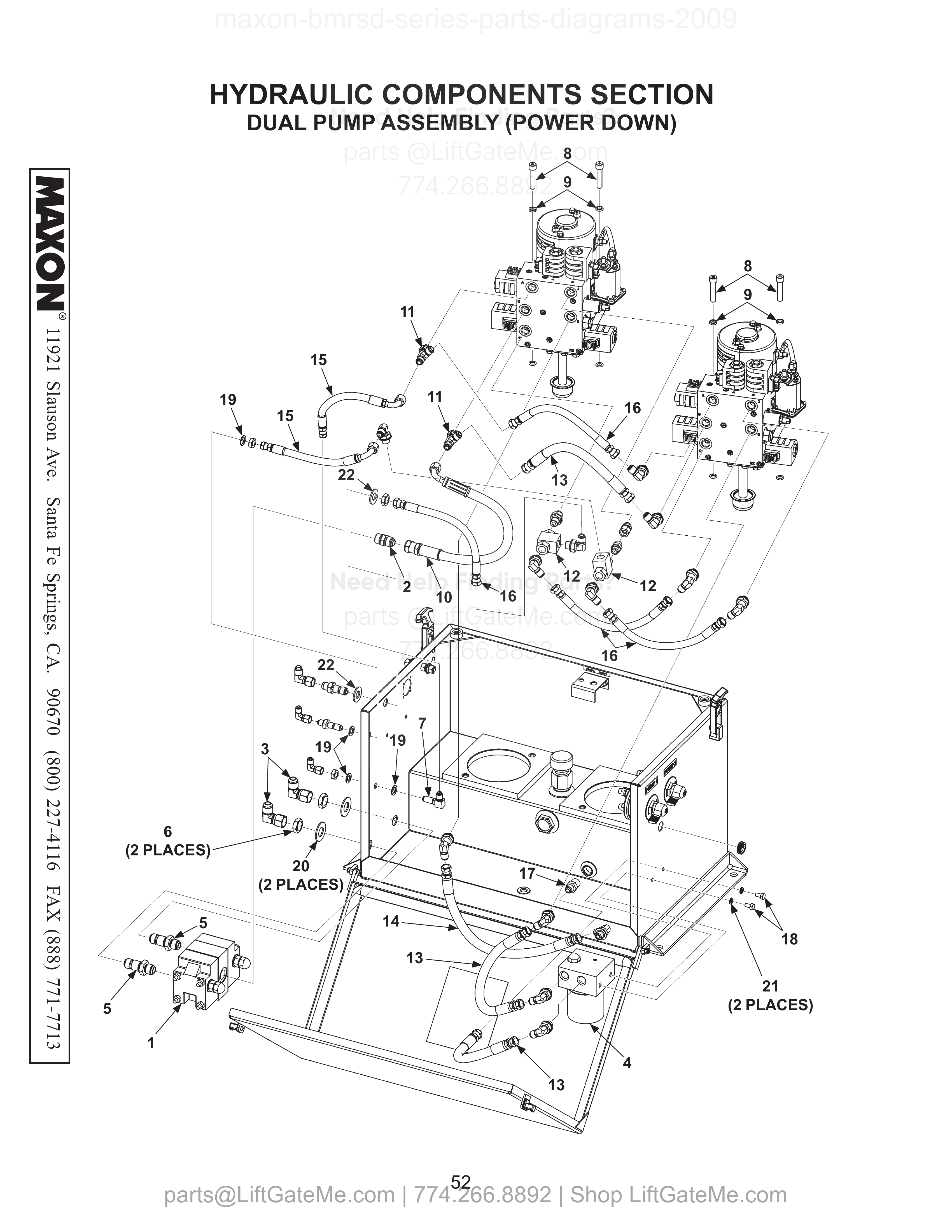 DUAL PUMP ASSEMBLY (POWER DOWN) diagram